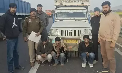 Nuh: फिरोजपुर झिरका पुलिस की बड़ी सफलता, तीन तस्कर गिरफ्तार Nuh: फिरोजपुर झिरका पुलिस की बड़ी सफलता, तीन तस्कर गिरफ्तार