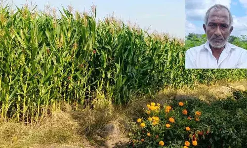 Farmers ने राज्य सरकार के कामों पर निराशा जताई Farmers ने राज्य सरकार के कामों पर निराशा जताई