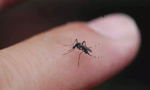 मच्छर सिर्फ़ कुछ लोगों को ही क्यों काटते हैं, Scientists ने इसका पता लगा लिया मच्छर सिर्फ़ कुछ लोगों को ही क्यों काटते हैं, Scientists ने इसका पता लगा लिया