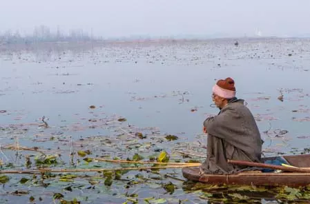 कश्मीर में तापमान गिरने से बढ़ी ठंड, जम्मू में छाया रहा घना कोहरा कश्मीर में तापमान गिरने से बढ़ी ठंड, जम्मू में छाया रहा घना कोहरा