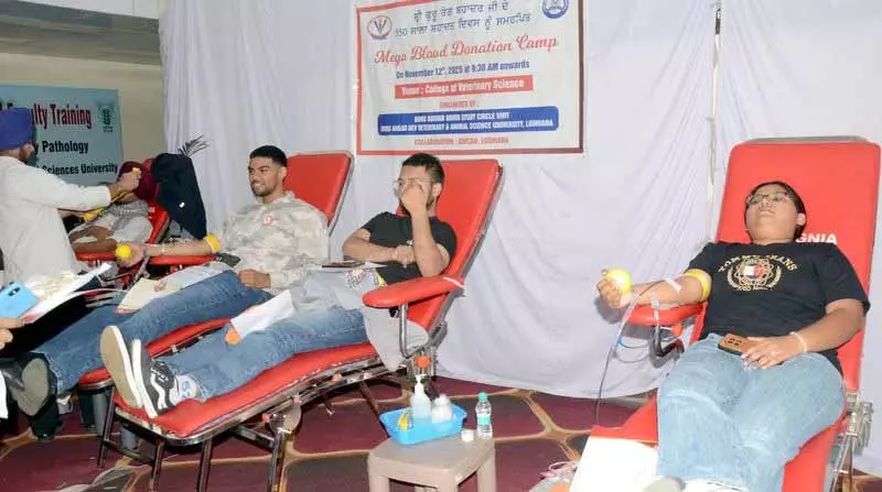 Phagwara में युवाओं ने कैंप में रक्तदान किया Phagwara में युवाओं ने कैंप में रक्तदान किया