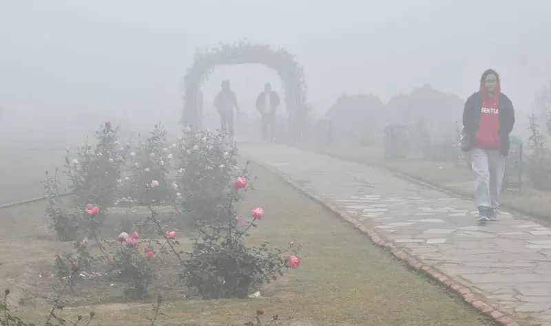 चंडीगढ़ में सर्दी का कहर न्यूनतम तापमान 2.8°C तक गिरा, नौ साल में सबसे कम चंडीगढ़ में सर्दी का कहर न्यूनतम तापमान 2.8°C तक गिरा, नौ साल में सबसे कम