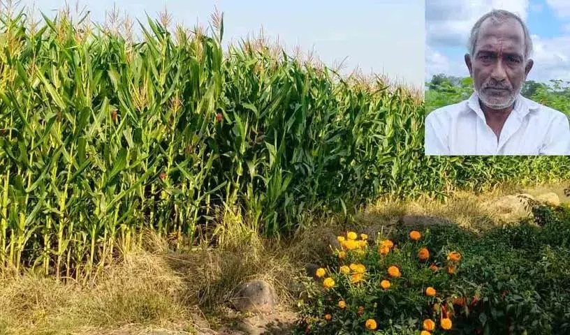 Farmers ने राज्य सरकार के कामों पर निराशा जताई Farmers ने राज्य सरकार के कामों पर निराशा जताई