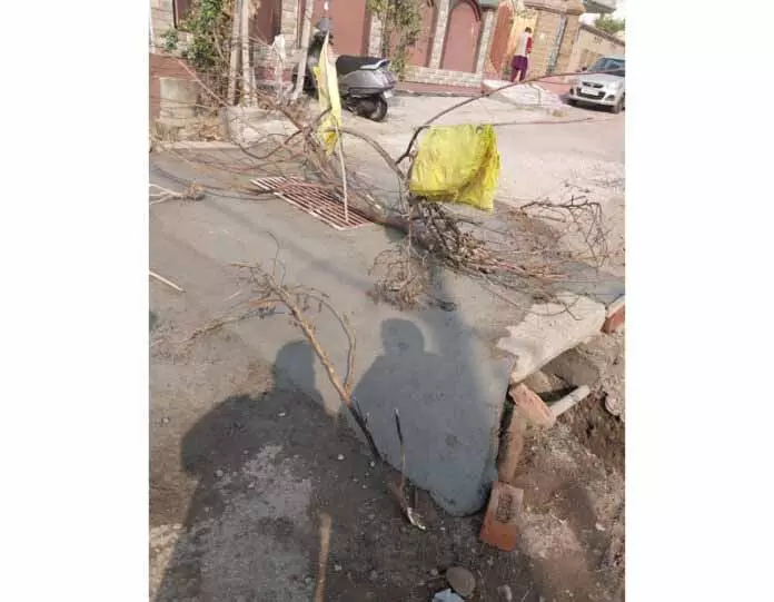 अधिकारियों की अनदेखी के कारण JDA कॉलोनी के निवासियों ने खुद ही पुलिया बना ली अधिकारियों की अनदेखी के कारण JDA कॉलोनी के निवासियों ने खुद ही पुलिया बना ली