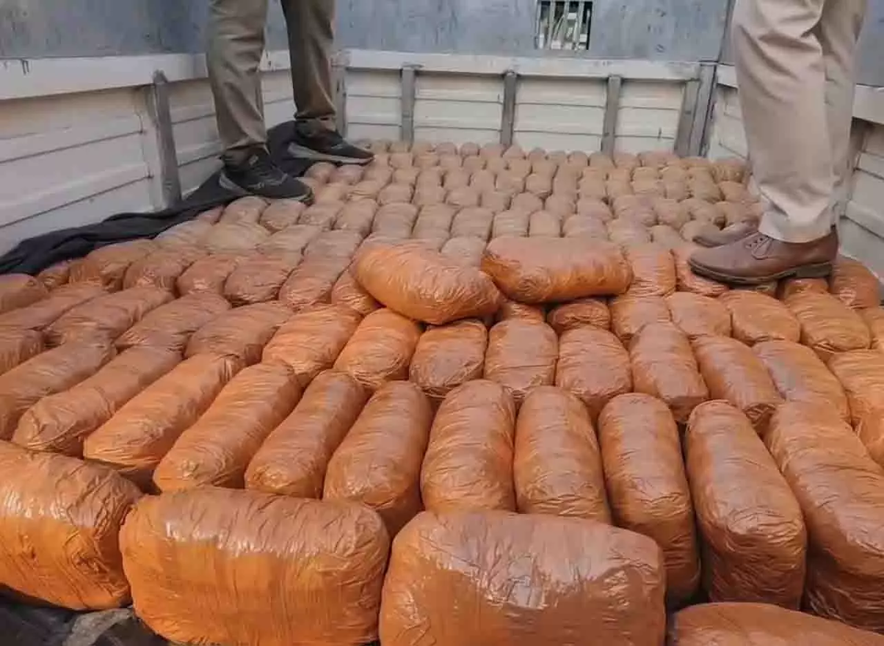 Jajpur: गांजा तस्करी नाकाम, 16 लाख रुपये का प्रतिबंधित सामान जब्त Jajpur: गांजा तस्करी नाकाम, 16 लाख रुपये का प्रतिबंधित सामान जब्त