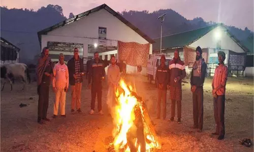 Himachal Pradesh: मणिमहेश सेवा दल ने बेसहारा पशुओं के साथ मनाया लोहड़ी पर्व Himachal Pradesh: मणिमहेश सेवा दल ने बेसहारा पशुओं के साथ मनाया लोहड़ी पर्व
