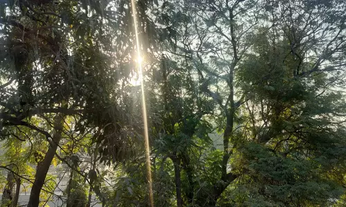 छत्तीसगढ़ : ठंडी हवा ने ठिठुरन बढ़ाई, शीतलहर का अलर्ट छत्तीसगढ़ : ठंडी हवा ने ठिठुरन बढ़ाई, शीतलहर का अलर्ट