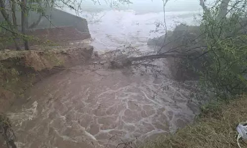 नहर टूटने से सिरसा गांव में गेहूं और सरसों के खेत जलमग्न हो गए