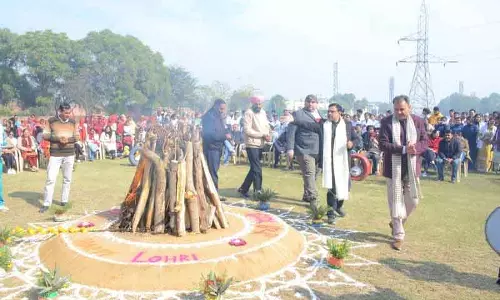 Sirsa में पारंपरिक उत्साह के साथ मनाया गया लोहड़ी का त्योहार