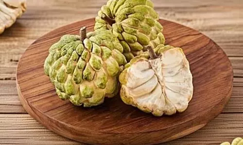 गर्भावस्था में मां और शिशु के लिए बेहद फायदेमंद है शरीफा, कब्ज, कमजोरी और तनाव से देता है राहत