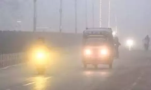 Haryana IMD Alert: इन जिलों में कोल्ड वेव का ऑरेंज अलर्ट