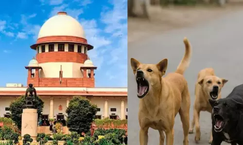 New Delhi: कुत्ते काटने से मौत पर राज्य को सुप्रीम कोर्ट से भारी झटका New Delhi: कुत्ते काटने से मौत पर राज्य को सुप्रीम कोर्ट से भारी झटका