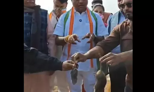 कांग्रेसियों ने पकड़े चूहे, बीजेपी बोली - ये तो जोकर गिरी कांग्रेसियों ने पकड़े चूहे, बीजेपी बोली - ये तो जोकर गिरी