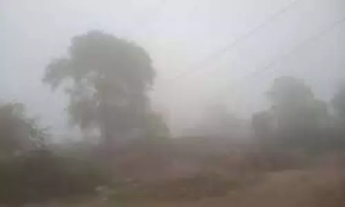Rajasthan :मकर संक्रांति पर भी कोल्ड टॉर्चर, बारिश का अलर्ट
