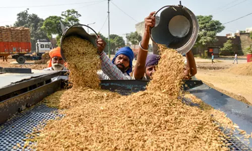 Telangana में रिकॉर्ड 70.82 लाख टन धान की खरीद हुई