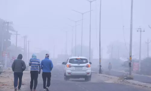 Bhopal: सर्दी का असर जारी, कोहरे ने दी थोड़ी राहत Bhopal: सर्दी का असर जारी, कोहरे ने दी थोड़ी राहत