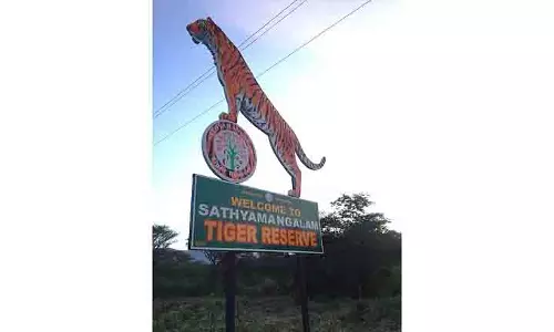 Sathyamangalam टाइगर रिजर्व में कोर्ट के आदेश पर 42 रिसॉर्ट सील Sathyamangalam टाइगर रिजर्व में कोर्ट के आदेश पर 42 रिसॉर्ट सील