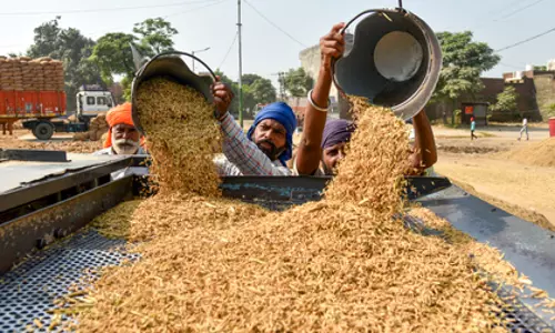 Telangana ने 70.82 लाख टन धान की रिकॉर्ड खरीद की