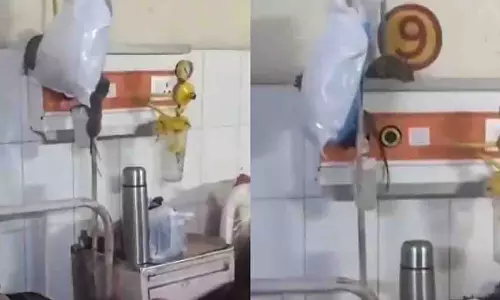 Gonda मेडिकल कॉलेज: ऑर्थो वार्ड में चूहे घूमते मिले, वायरल वीडियो से गुस्सा Gonda मेडिकल कॉलेज: ऑर्थो वार्ड में चूहे घूमते मिले, वायरल वीडियो से गुस्सा
