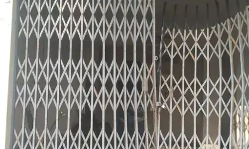 रायगढ़ में हाथियों का उत्पात, हाईस्कूल का गेट तोड़ा