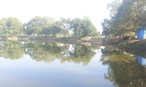 जल संरक्षण विजन को जमीन पर उतारता बुनगा का गतवा तालाब, गहरीकरण से बदली गांव की तस्वीर जल संरक्षण विजन को जमीन पर उतारता बुनगा का गतवा तालाब, गहरीकरण से बदली गांव की तस्वीर