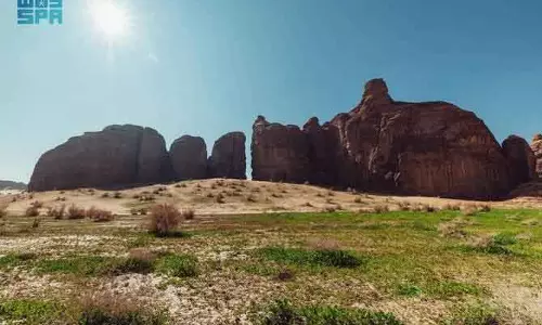 Environmental सुरक्षा: अल-उला में पेड़ों को नुकसान पहुँचाना अब दंडनीय अपराध Environmental सुरक्षा: अल-उला में पेड़ों को नुकसान पहुँचाना अब दंडनीय अपराध