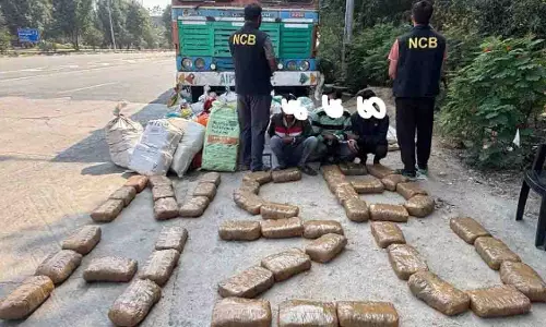 NCB ने हैदराबाद में 813 किलो गांजा जब्त किया, बीदर से 3 गिरफ्तार NCB ने हैदराबाद में 813 किलो गांजा जब्त किया, बीदर से 3 गिरफ्तार