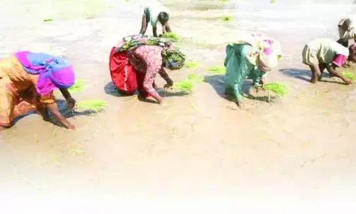 Vijayawada :  मंत्री और विधायक ने जलाई पारंपरिक भोगी की आग