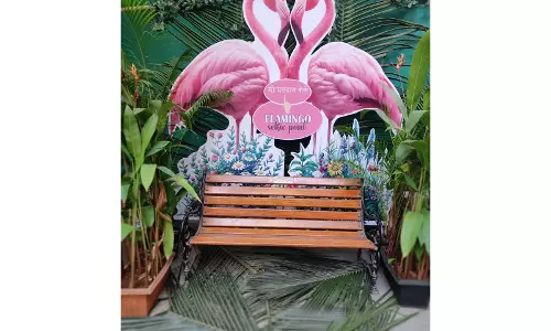 महाराष्ट्र नगर निगम चुनाव: Mumbai, पुणे और 27 अन्य निगमों के लिए कांटे की टक्कर