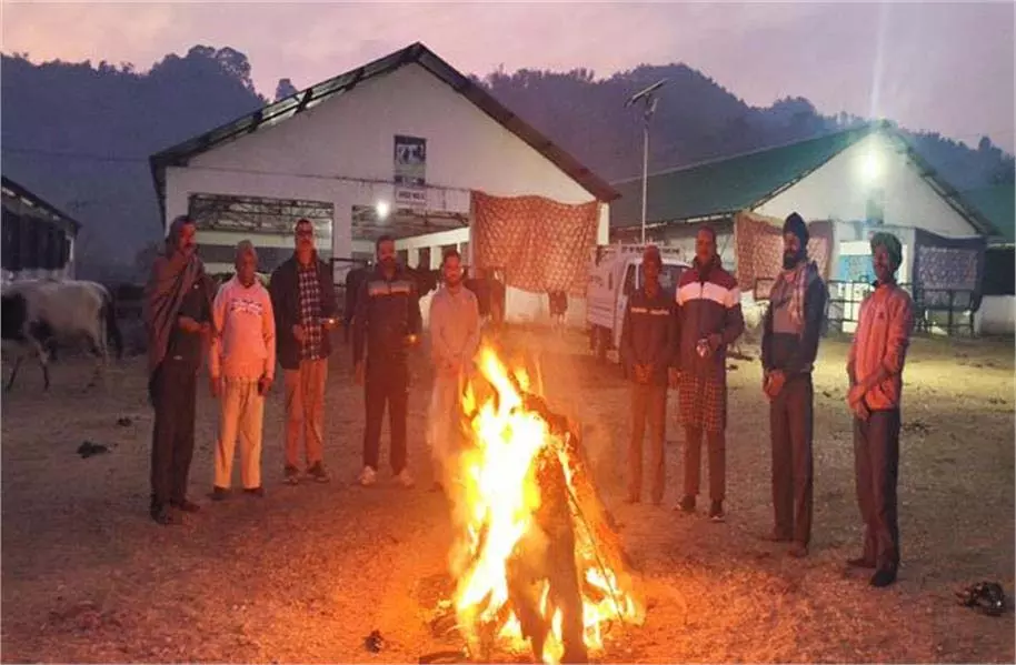 Himachal Pradesh: मणिमहेश सेवा दल ने बेसहारा पशुओं के साथ मनाया लोहड़ी पर्व Himachal Pradesh: मणिमहेश सेवा दल ने बेसहारा पशुओं के साथ मनाया लोहड़ी पर्व