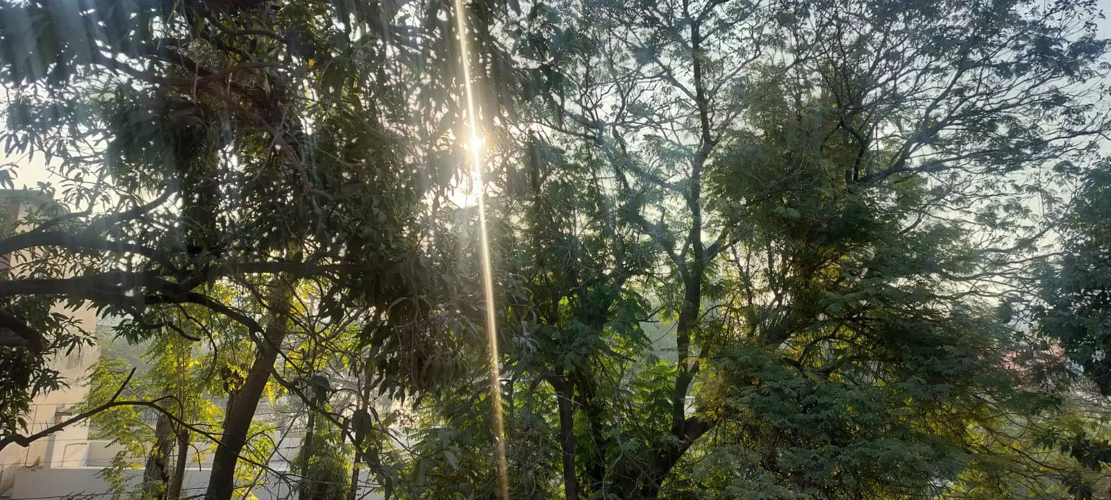 छत्तीसगढ़ : ठंडी हवा ने ठिठुरन बढ़ाई, शीतलहर का अलर्ट छत्तीसगढ़ : ठंडी हवा ने ठिठुरन बढ़ाई, शीतलहर का अलर्ट
