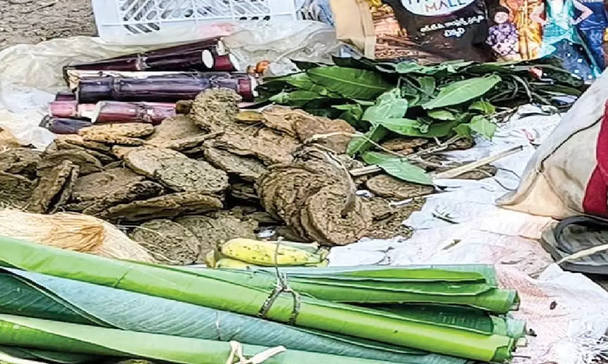 Andhra: इस त्योहार में गाय के गोबर के उपलों ने भोगी मंटालू को चुना Andhra: इस त्योहार में गाय के गोबर के उपलों ने भोगी मंटालू को चुना