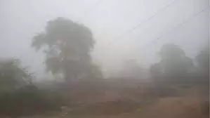 Rajasthan :मकर संक्रांति पर भी कोल्ड टॉर्चर, बारिश का अलर्ट Rajasthan :मकर संक्रांति पर भी कोल्ड टॉर्चर, बारिश का अलर्ट