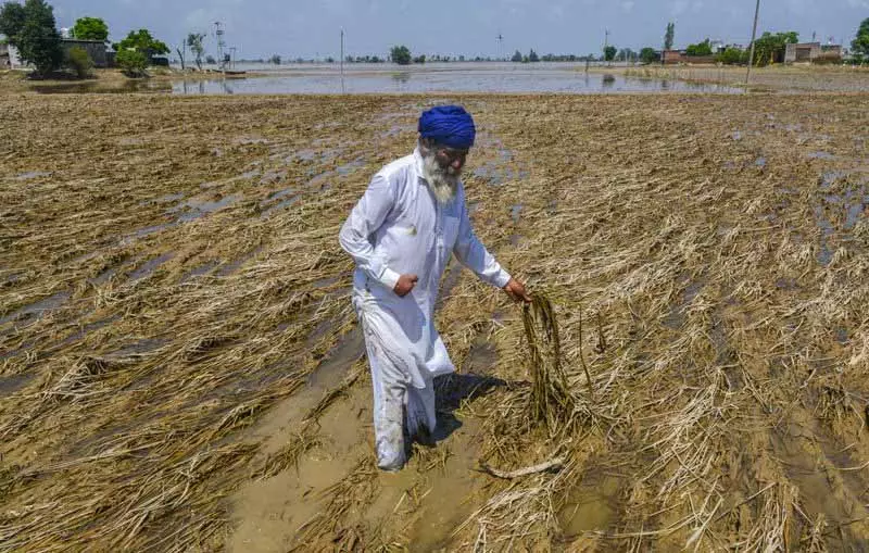 Punjab में बाढ़ प्रभावितों के लिए नया कृषि लोन, पुराने लोन का पेमेंट टाला गया Punjab में बाढ़ प्रभावितों के लिए नया कृषि लोन, पुराने लोन का पेमेंट टाला गया