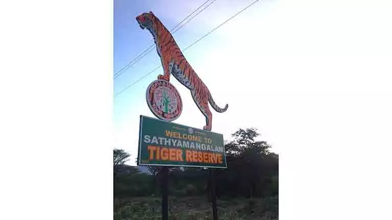 Sathyamangalam टाइगर रिजर्व में कोर्ट के आदेश पर 42 रिसॉर्ट सील Sathyamangalam टाइगर रिजर्व में कोर्ट के आदेश पर 42 रिसॉर्ट सील