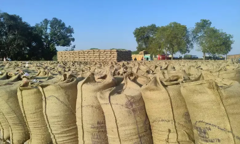 धान खरीदी में नया रिकॉर्ड: 13 जनवरी तक 17.77 लाख किसानों के खातों में पहुंचा ₹23,448 करोड़ धान खरीदी में नया रिकॉर्ड: 13 जनवरी तक 17.77 लाख किसानों के खातों में पहुंचा ₹23,448 करोड़