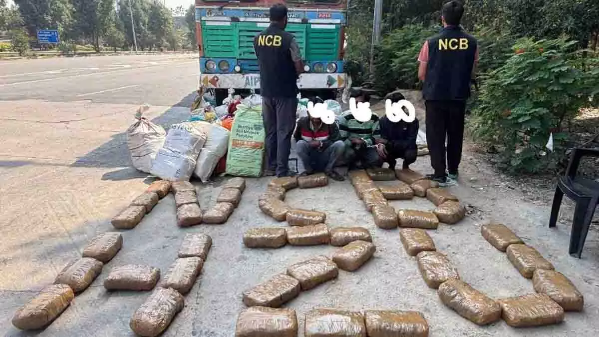 NCB ने हैदराबाद में 813 किलो गांजा जब्त किया, बीदर से 3 गिरफ्तार NCB ने हैदराबाद में 813 किलो गांजा जब्त किया, बीदर से 3 गिरफ्तार