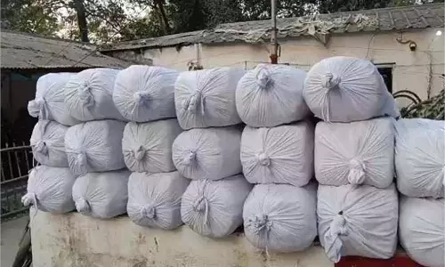 Bihar News: पुलिस की बड़ी कार्रवाई से मचा हड़कंप,620 किलोग्राम गांजा बरामद Bihar News: पुलिस की बड़ी कार्रवाई से मचा हड़कंप,620 किलोग्राम गांजा बरामद