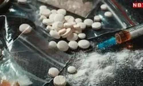 Punjab: नशा विरोधी अभियान के तहत बड़ी मात्रा में नशीले पदार्थ बरामद Punjab: नशा विरोधी अभियान के तहत बड़ी मात्रा में नशीले पदार्थ बरामद