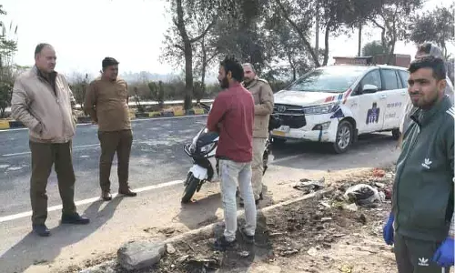 Rohtak में 29 कुत्तों के शव मिले; जांच के आदेश