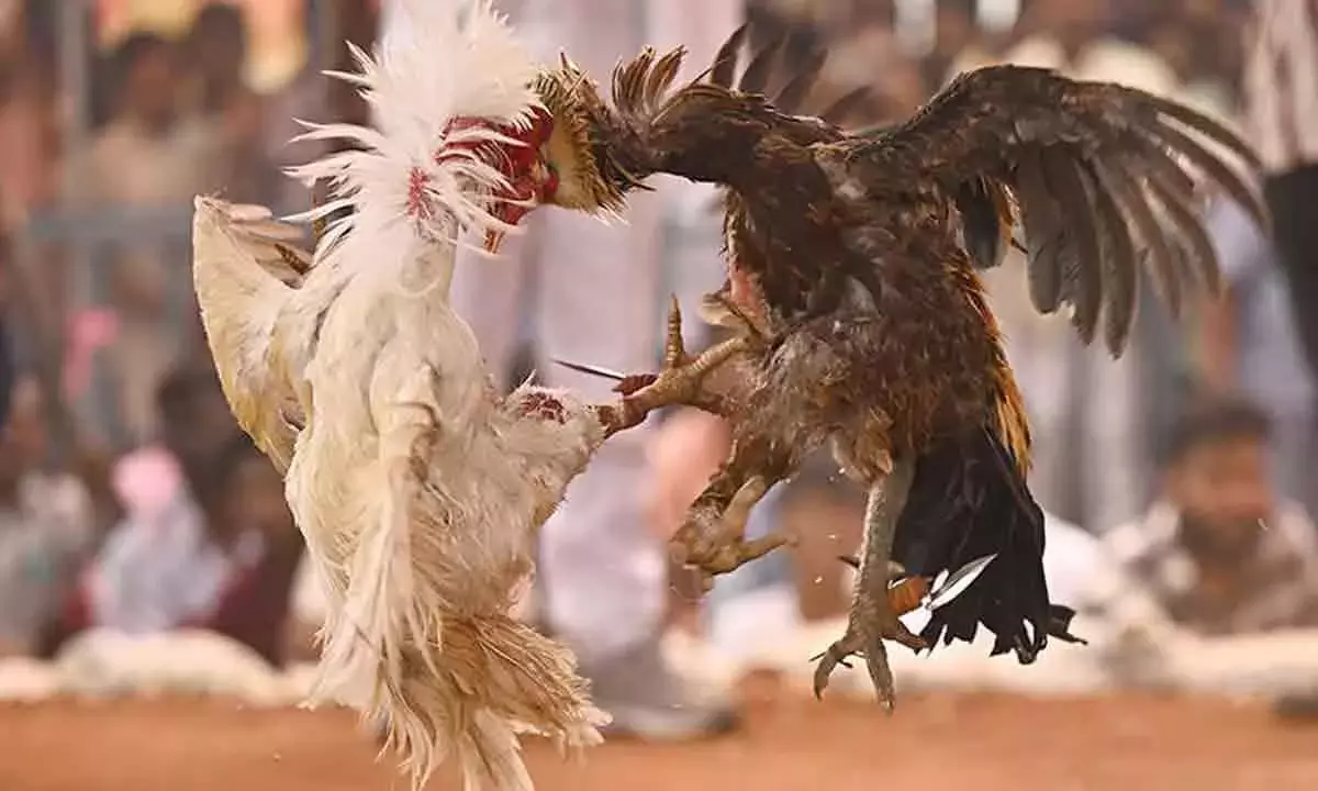 Andhra: विजयवाड़ा क्षेत्र नया हब बनकर उभरा है Andhra: विजयवाड़ा क्षेत्र नया हब बनकर उभरा है