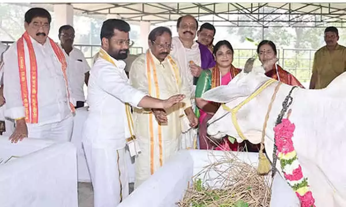 Andhra: गौशाला शेड का उद्घाटन किया गया Andhra: गौशाला शेड का उद्घाटन किया गया