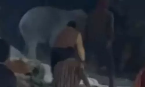 दंतेल हाथी ने धान खरीदी केंद्र में मचाया उत्पात, भागकर कर्मचारियों ने खुद को किया सुरक्षित दंतेल हाथी ने धान खरीदी केंद्र में मचाया उत्पात, भागकर कर्मचारियों ने खुद को किया सुरक्षित