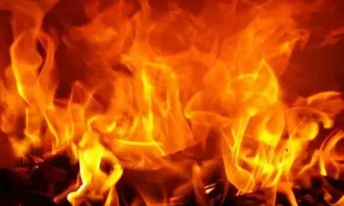 Raigarh में भोगी समारोह में पटाखा विस्फोट, चार घायल