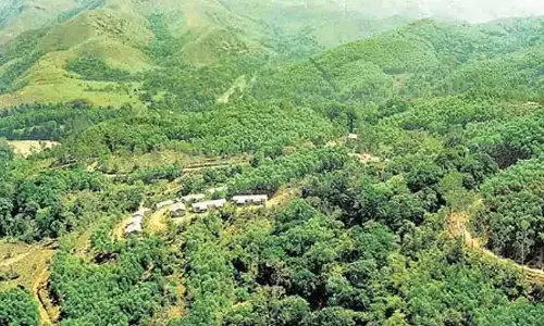 जंगल में आग के खतरे के चलते कुद्रेमुख क्षेत्र में ट्रेकिंग पर अस्थायी रोक जंगल में आग के खतरे के चलते कुद्रेमुख क्षेत्र में ट्रेकिंग पर अस्थायी रोक