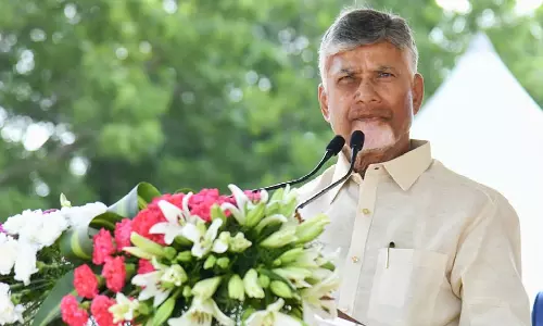 Andhra Pradesh CM: पी-4 प्रोग्राम से आर्थिक असमानता कम होगी
