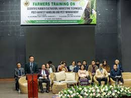 रबर Mizoram को एक अलग पहचान दे सकता है: मुख्यमंत्री लालदुहोमा