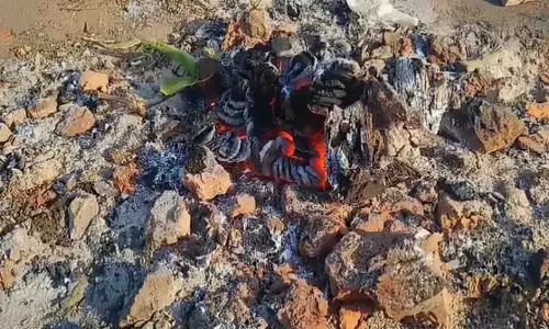 Rayagada विस्फोट मामले में नया मोड़ आया; घर पर पटाखे बनाते समय धमाका हुआ