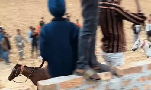 Amtala में नाबालिग को घोड़े ने काटा, मुंह से लटक रहा Amtala में नाबालिग को घोड़े ने काटा, मुंह से लटक रहा