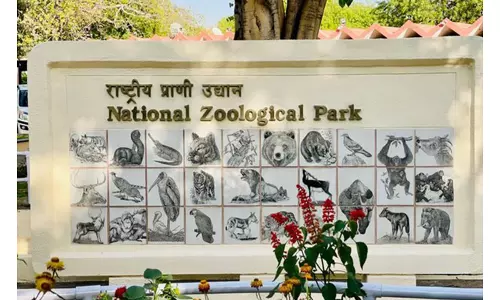 Delhi Zoo में सियार की मौत की जांच के लिए समिति का गठन